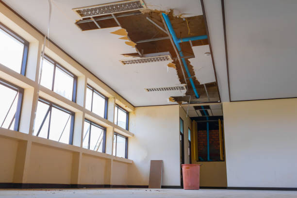 Best Residential water damage restoration  in World Golf Village, FL