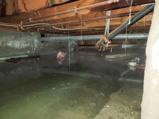  World Golf Village, FL Water damage restoration Pros