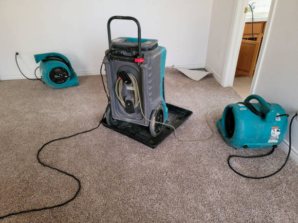 Best Sewage cleanup and water damage restoration  in World Golf Village, FL
