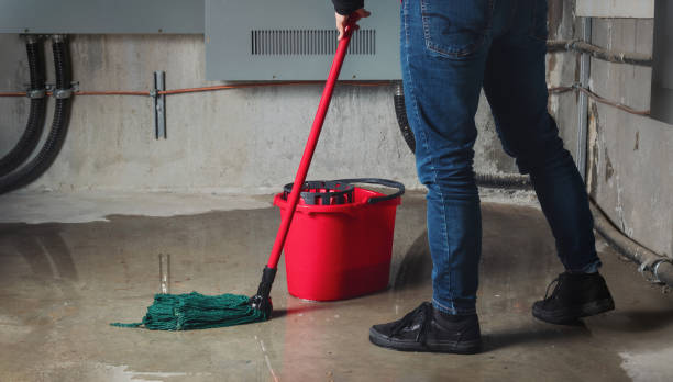 Water damage restoration mold remediation in World Golf Village, FL