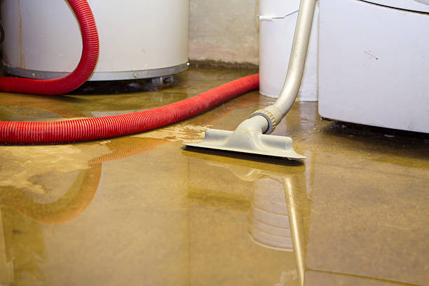  World Golf Village, FL Water damage restoration Pros